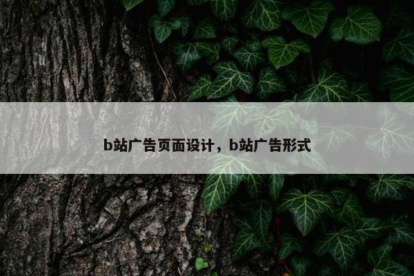 b站广告页面设计，b站广告形式