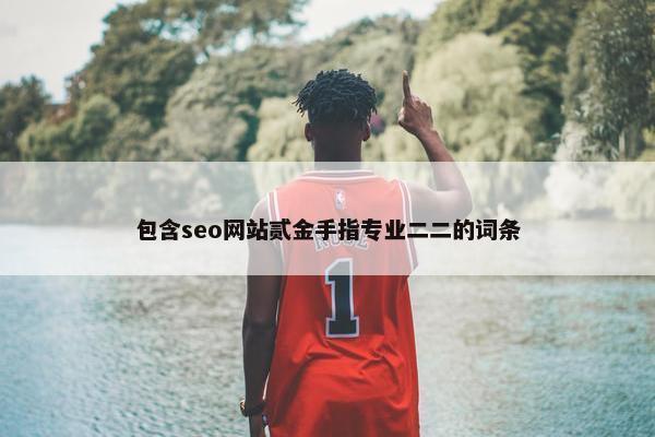 包含seo网站贰金手指专业二二的词条
