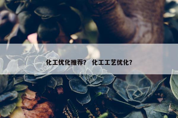 化工优化推荐？ 化工工艺优化？