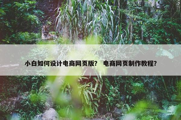 小白如何设计电商网页版？ 电商网页制作教程？