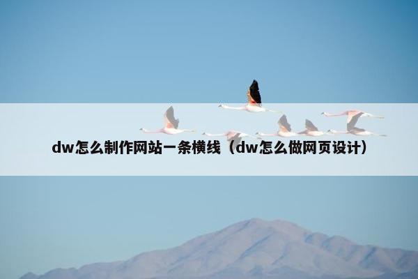 dw怎么制作网站一条横线（dw怎么做网页设计）
