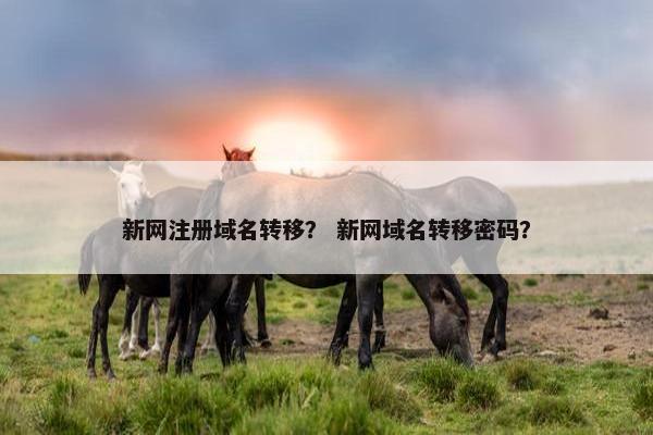 新网注册域名转移？ 新网域名转移密码？
