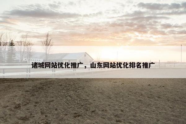 诸城网站优化推广，山东网站优化排名推广