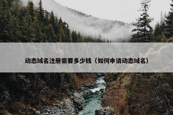 动态域名注册需要多少钱（如何申请动态域名）