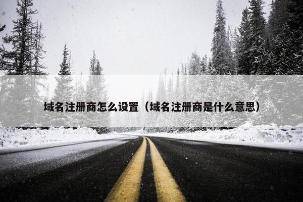 域名注册商怎么设置（域名注册商是什么意思）