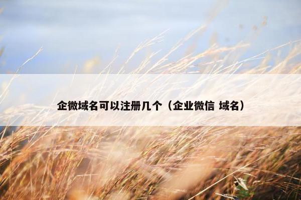 企微域名可以注册几个（企业微信 域名）