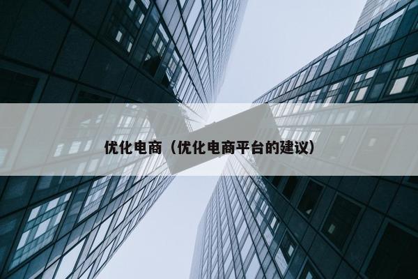 优化电商（优化电商平台的建议）