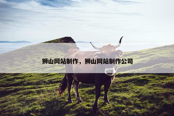 狮山网站制作，狮山网站制作公司