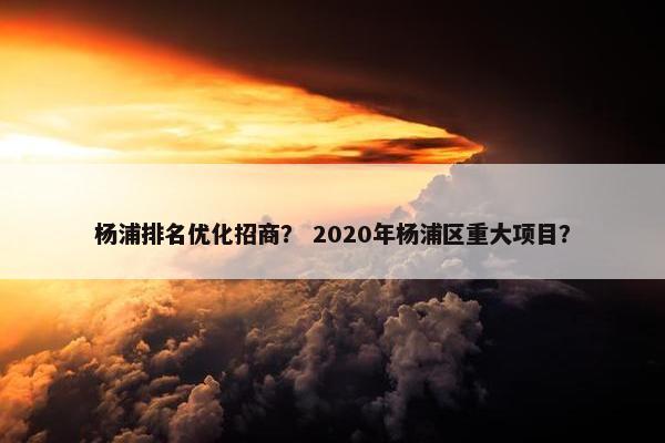 杨浦排名优化招商？ 2020年杨浦区重大项目？