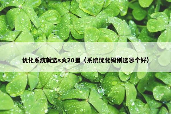 优化系统就选s火20星（系统优化级别选哪个好）