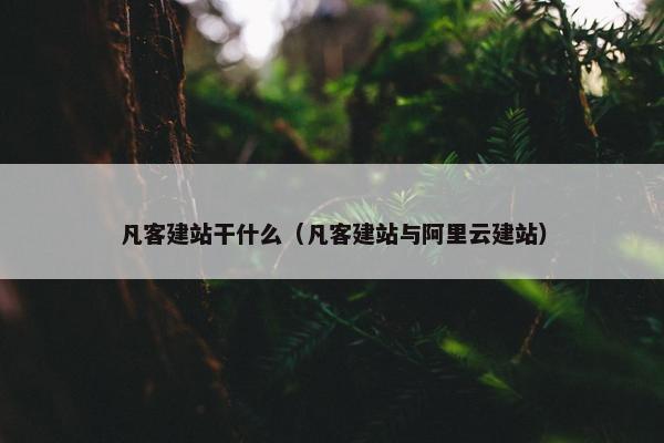 凡客建站干什么（凡客建站与阿里云建站）