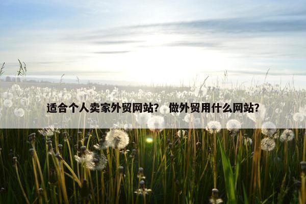 适合个人卖家外贸网站？ 做外贸用什么网站？