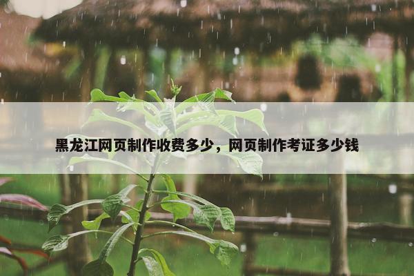 黑龙江网页制作收费多少，网页制作考证多少钱