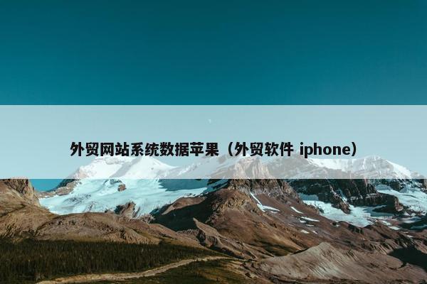 外贸网站系统数据苹果（外贸软件 iphone）