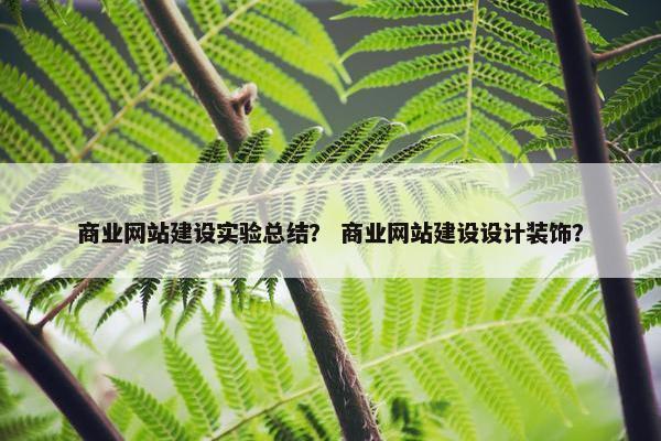 商业网站建设实验总结？ 商业网站建设设计装饰？