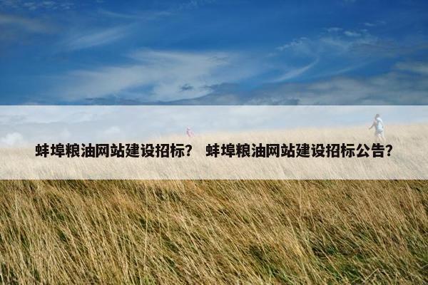 蚌埠粮油网站建设招标？ 蚌埠粮油网站建设招标公告？