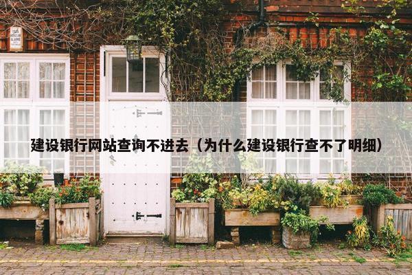 建设银行网站查询不进去（为什么建设银行查不了明细）