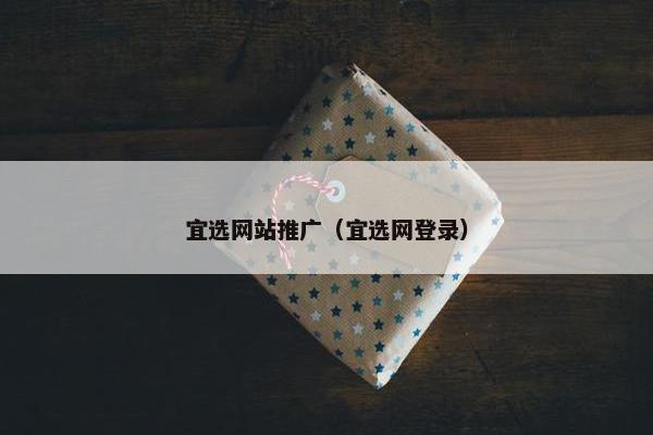 宜选网站推广（宜选网登录）