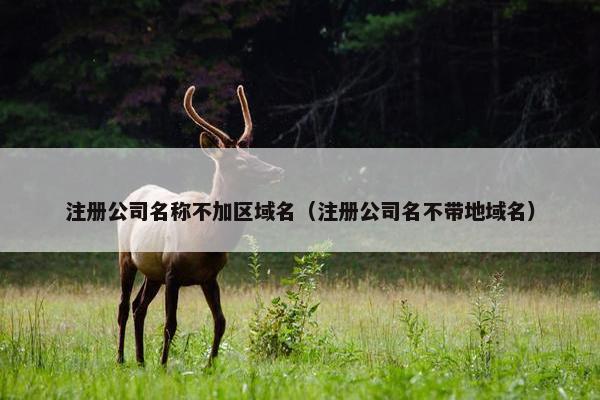 注册公司名称不加区域名（注册公司名不带地域名）