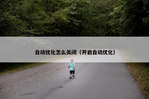 自动优化怎么关闭（开启自动优化）