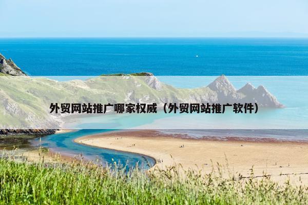 外贸网站推广哪家权威（外贸网站推广软件）