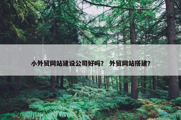 小外贸网站建设公司好吗？ 外贸网站搭建？
