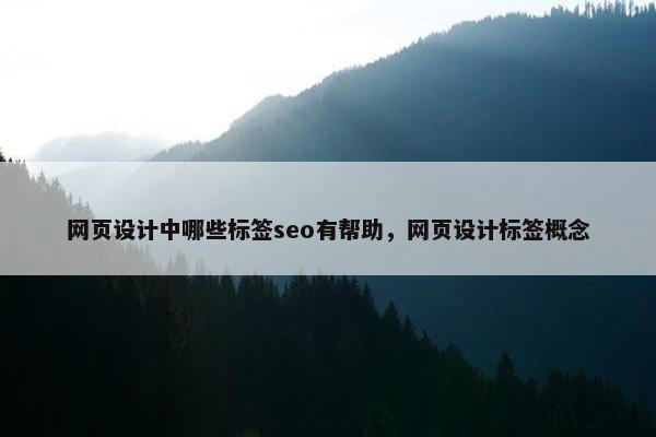 网页设计中哪些标签seo有帮助，网页设计标签概念
