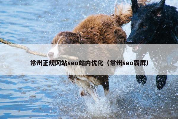 常州正规网站seo站内优化（常州seo霸屏）
