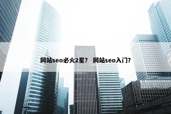 网站seo必火2星？ 网站seo入门？