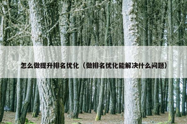 怎么做提升排名优化（做排名优化能解决什么问题）