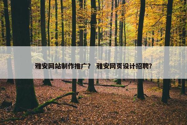 雅安网站制作推广？ 雅安网页设计招聘？