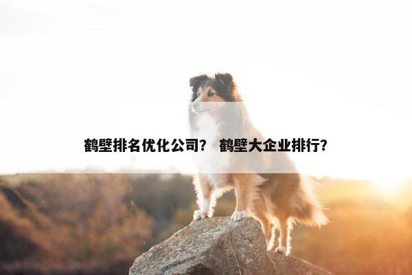 鹤壁排名优化公司？ 鹤壁大企业排行？