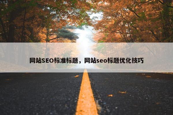 网站SEO标准标题，网站seo标题优化技巧