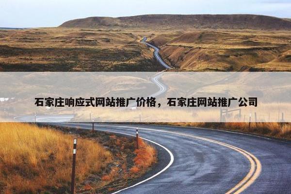 石家庄响应式网站推广价格，石家庄网站推广公司