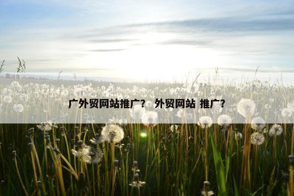 广外贸网站推广？ 外贸网站 推广？