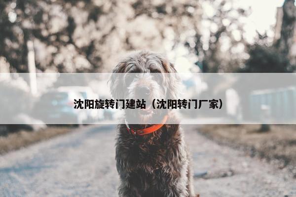 沈阳旋转门建站（沈阳转门厂家）