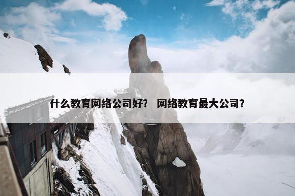 什么教育网络公司好？ 网络教育最大公司？