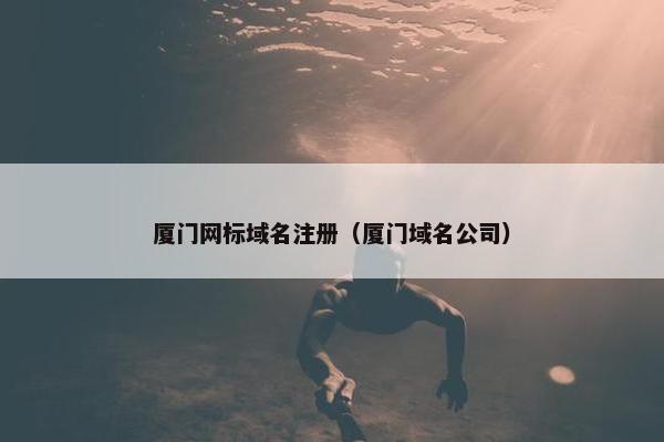 厦门网标域名注册（厦门域名公司）