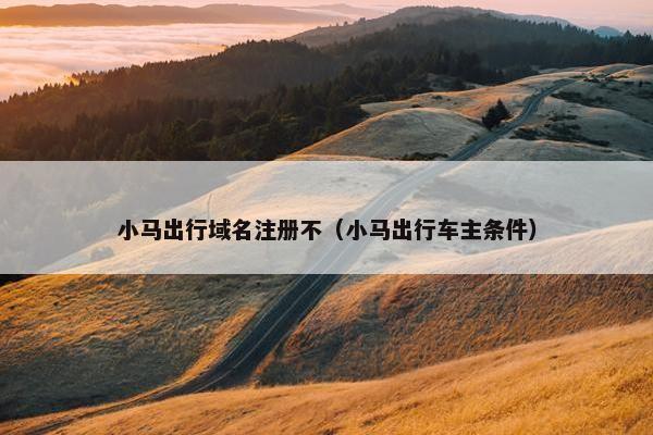 小马出行域名注册不（小马出行车主条件）