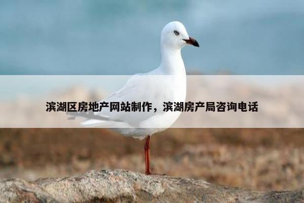 滨湖区房地产网站制作，滨湖房产局咨询电话