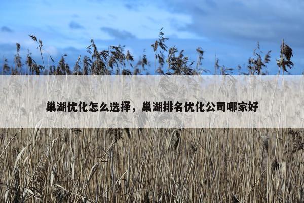 巢湖优化怎么选择，巢湖排名优化公司哪家好