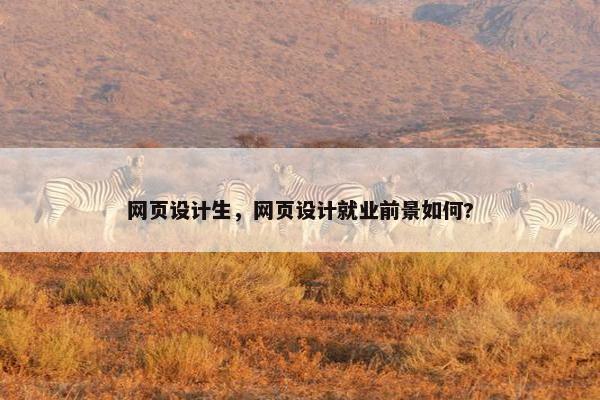 网页设计生，网页设计就业前景如何?