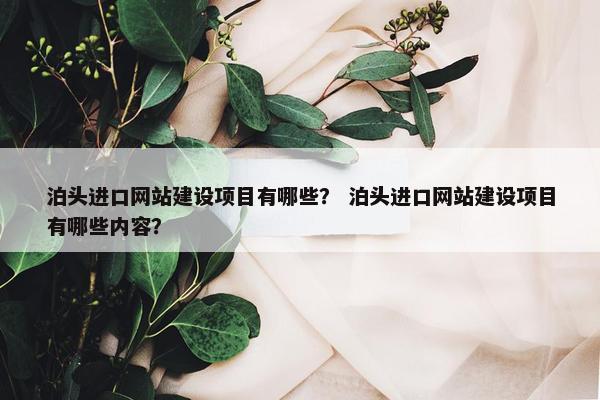 泊头进口网站建设项目有哪些？ 泊头进口网站建设项目有哪些内容？