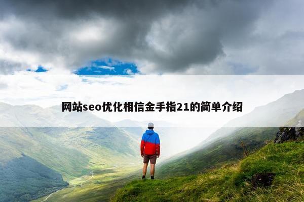 网站seo优化相信金手指21的简单介绍