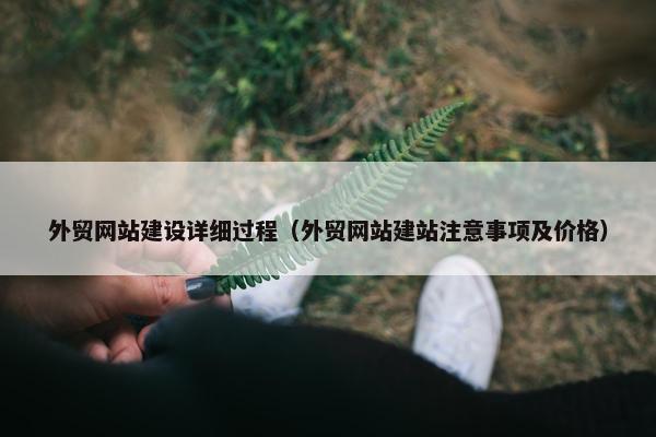 外贸网站建设详细过程（外贸网站建站注意事项及价格）