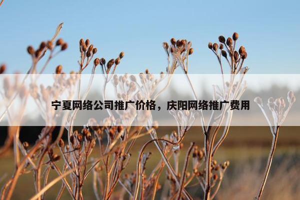 宁夏网络公司推广价格，庆阳网络推广费用