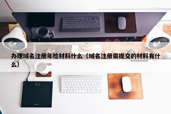 办理域名注册年检材料什么（域名注册需提交的材料有什么）