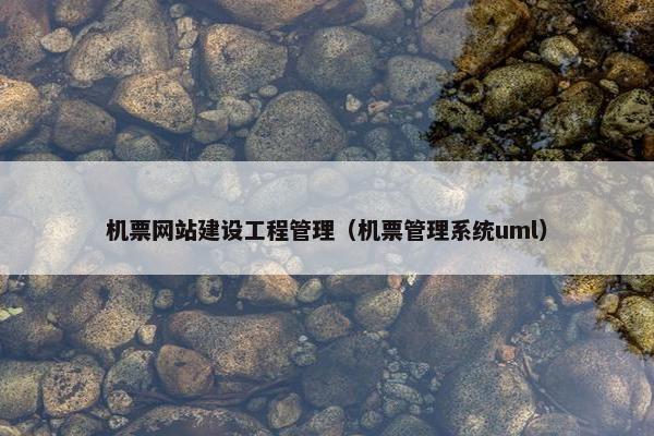 机票网站建设工程管理（机票管理系统uml）