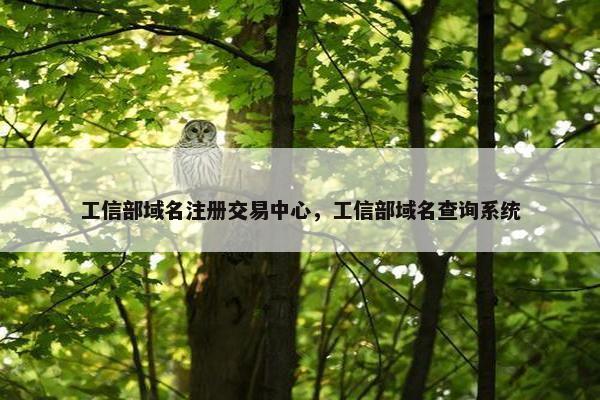 工信部域名注册交易中心，工信部域名查询系统