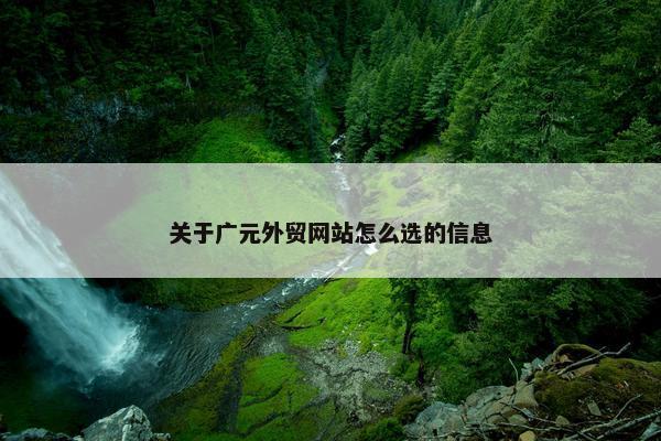关于广元外贸网站怎么选的信息